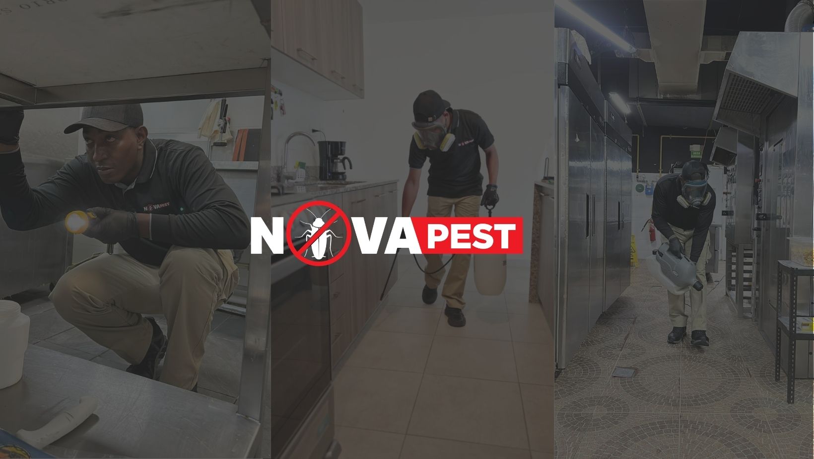 Portada de NOVAPEST